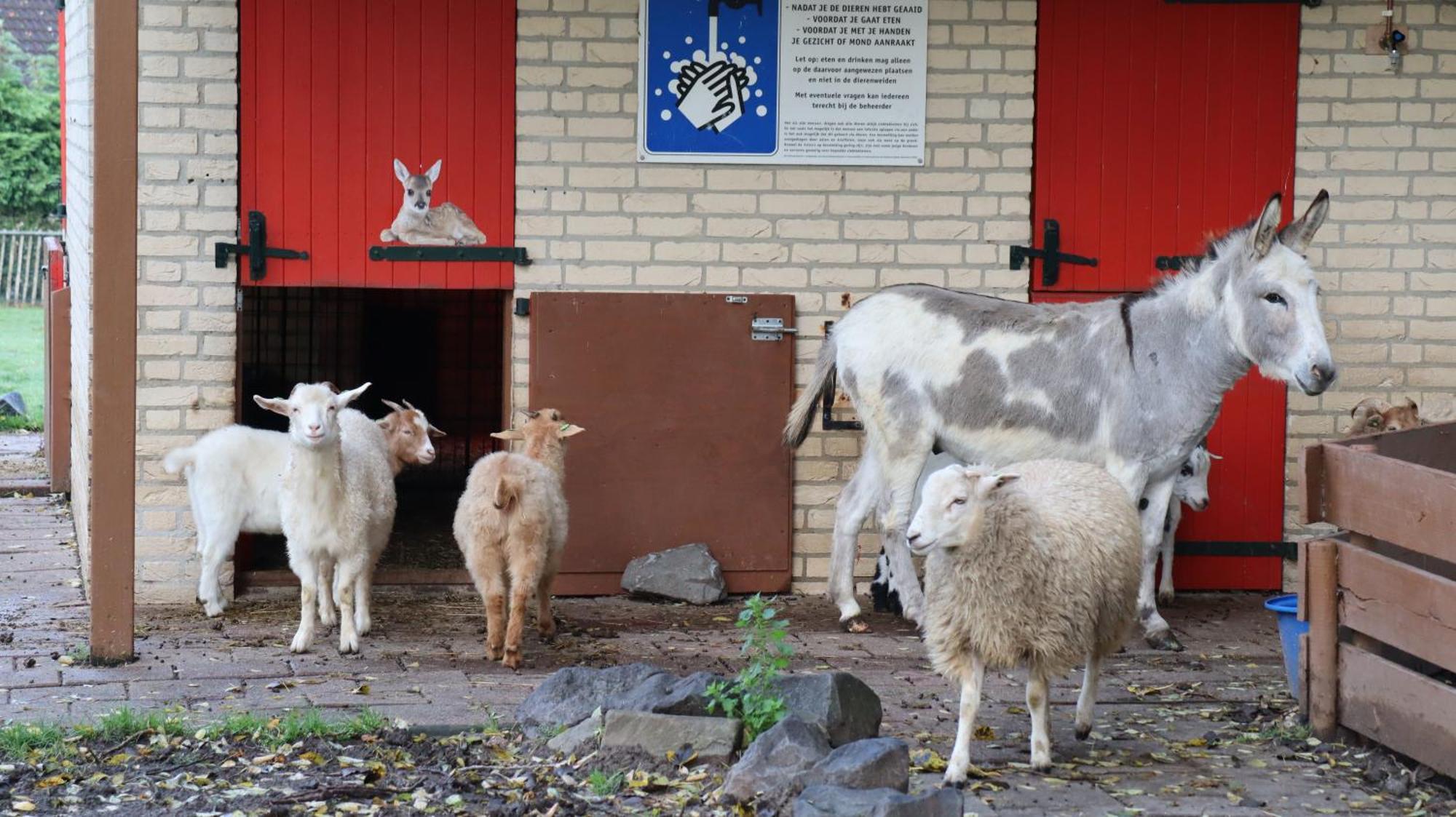 Het Huys Ewijk Mooi Luxe En Een Laadpaal Kültér fotó