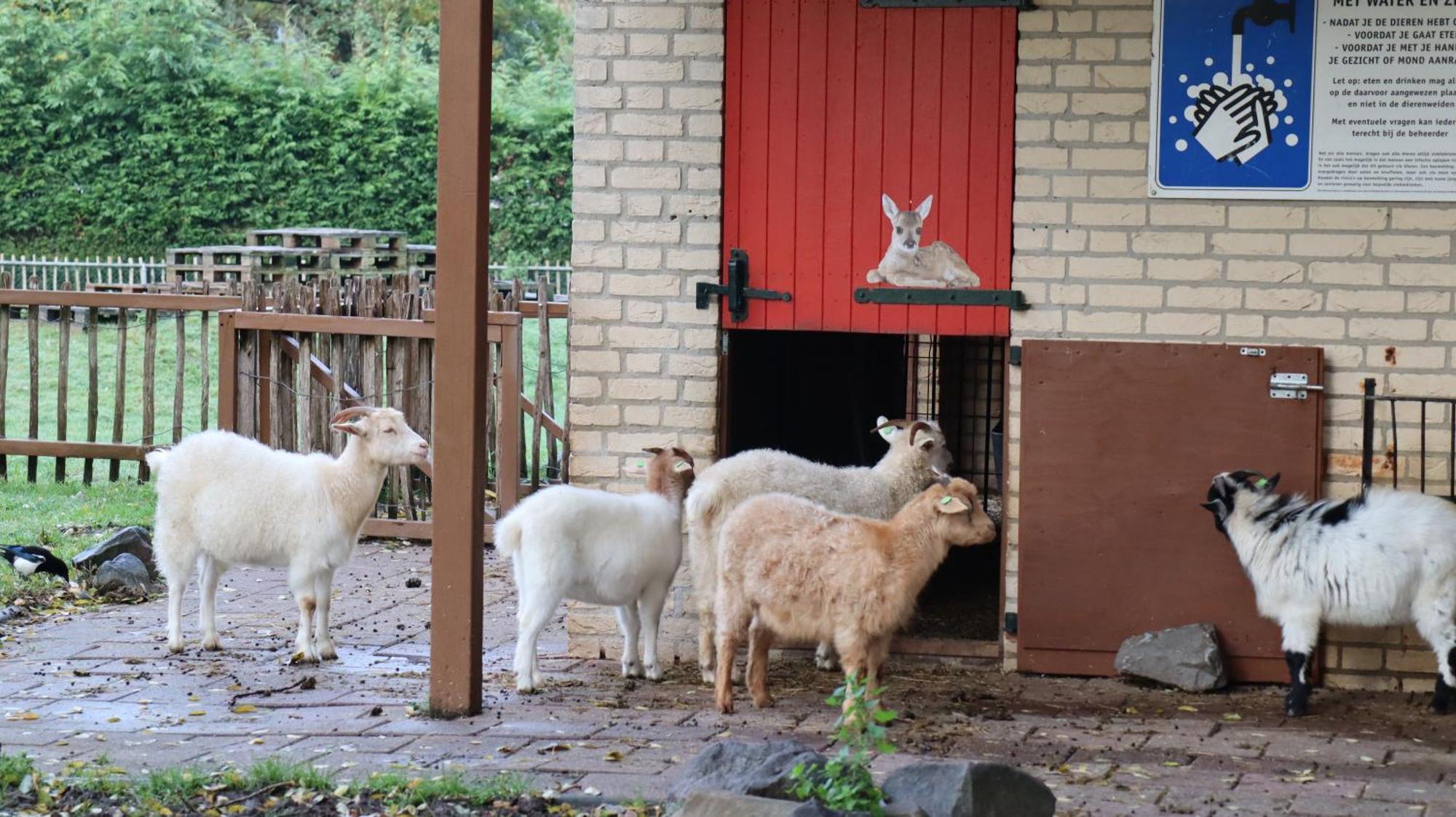 Het Huys Ewijk Mooi Luxe En Een Laadpaal Kültér fotó