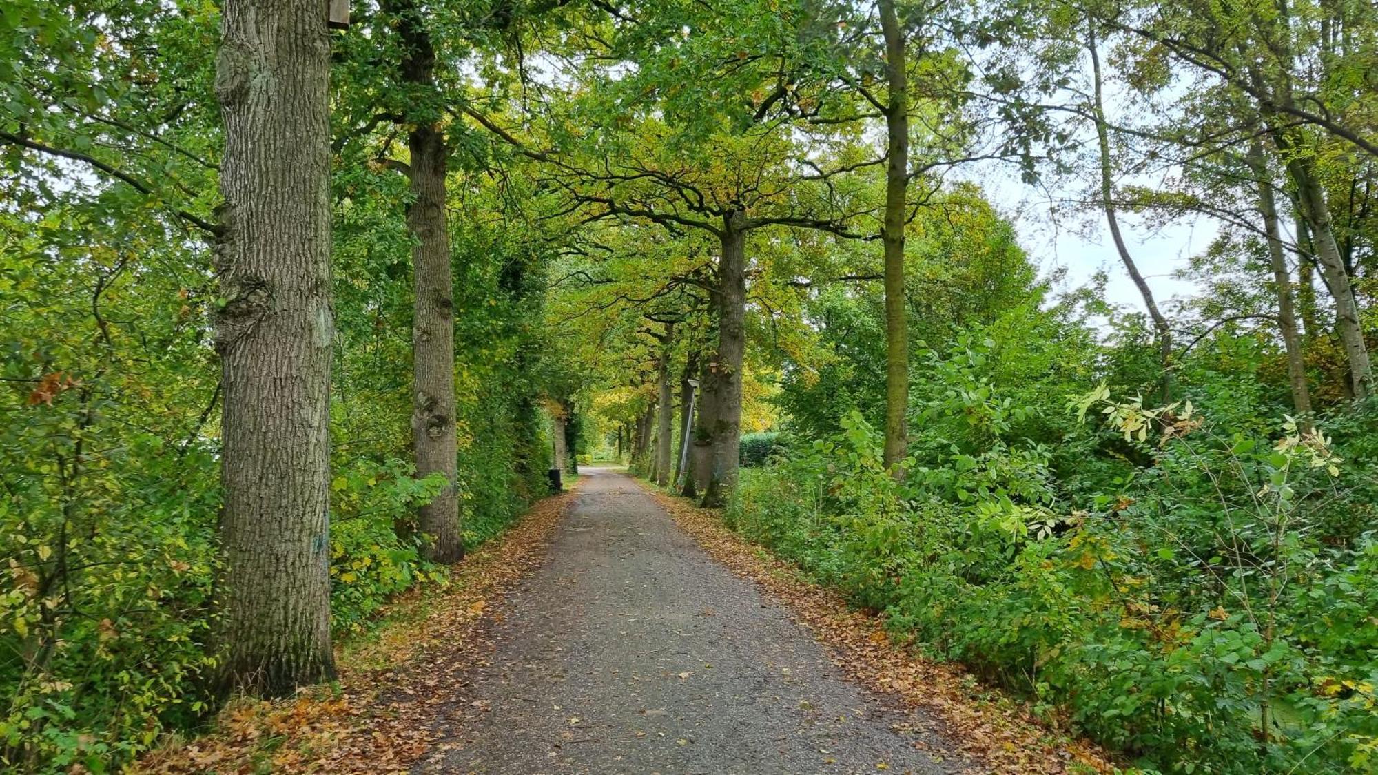 Het Huys Ewijk Mooi Luxe En Een Laadpaal Kültér fotó